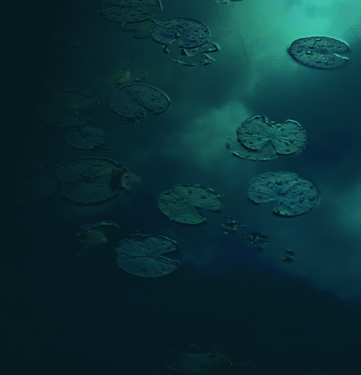 Just a background image of a swamp with lilypads